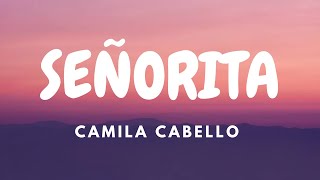 Shawn Mendes, Camila Cabello - Señorita (Lyrics)