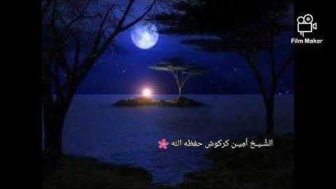 تلاوة للشيخ أمين كركوش حفظه الله 🌸