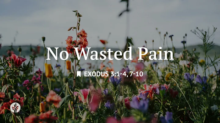 No Wasted Pain | Audio Reading | Our Daily Bread Devotional | June 6, 2025