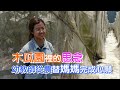 在木瓜園裡思念妳(劉靜璇) 一步一腳印 20200607