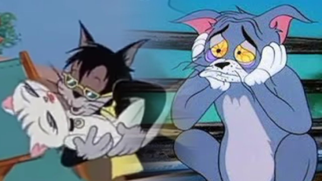 Tom and Jerry   short sad story