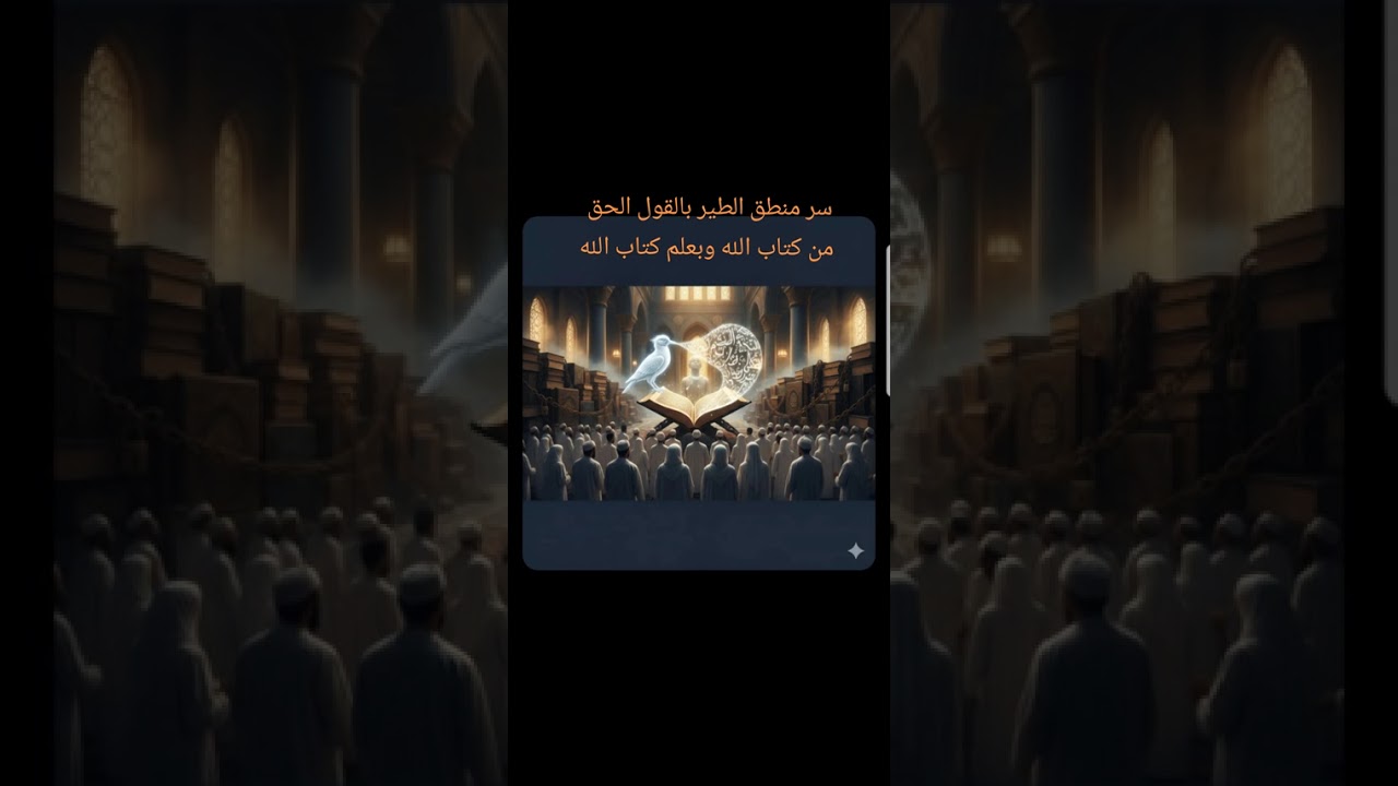 ٢٧ فبراير ٢٠٢٦