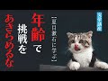 【夏目漱石に学ぶ】年齢を理由に、挑戦をあきらめるな【人生１００年時代】