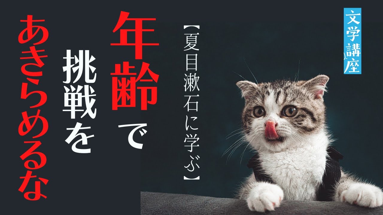 夏目漱石 門 のあらすじを解説 はじめての日本文学入門 Youtube