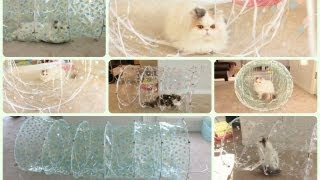 Modern Transparent Cat Tunnel: Do-It-Yourself by sweetfurx4 33,416 views 11 years ago 1 minute, 45 seconds