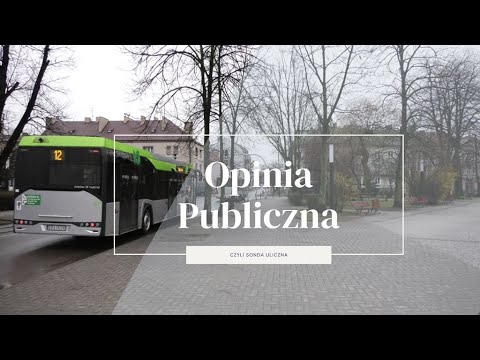Opinia publiczna, czyli