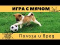 Игра с мячом польза и вред