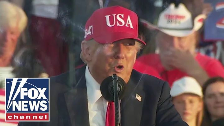 Democrats accused of embarrassing themselves with 'performance art' as Trump gets results