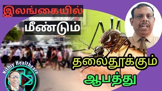 Malaria Is Back In Sri Lanka - Health Tips In Tamilமலரய- Malaria Comeback In Sri Lanka?