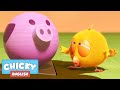 Wheres chicky funny chicky 2020  chicky pig  chicky cartoon in english for kids