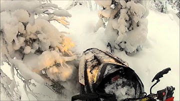 Polaris PRO RMK 155 2012 GoPro2 Tree Riding