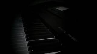Caping Gunung - Keyboard Cover - Casio CTK-6000