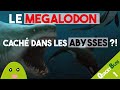 Le megalodon se cache dans les abysses  quickyblob