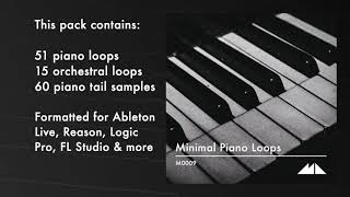 Minimal Piano Loops Demo screenshot 3