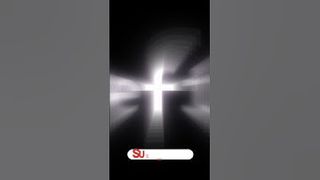 JavaScript Data Types Explained in 60 Seconds! 🚀 #coding #reactjsinterviewquestions #reactjs