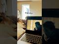 #foryou #fypシ゚viral #puppy #viralvideo #ytshorts #love #dogshorts#movie #edit#editing #yt#fy#fypシ#fy