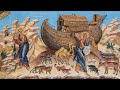 Un'ala di riserva... In ascolto del Vangelo di domenica 30 novembre 2025, prima di Avvento