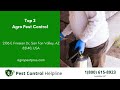 Top 3 Pest Control in Gold Canyon