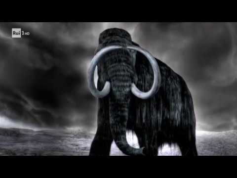 Video: La Ragione Dell'estinzione Dei Mammut Potrebbe Essere Il Loro Peso - Visualizzazione Alternativa