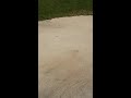 Bunker. Water. Cart path. Bad breaks happen.