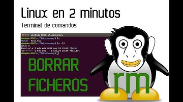 BORRAR FICHEROS EN LINUX, COMANDO RM