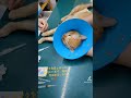 ともぞう急変 #cat #水頭症 #ともぞう