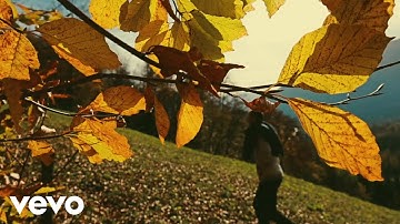 Schattovits - Herbstliacht (Official Music Video)