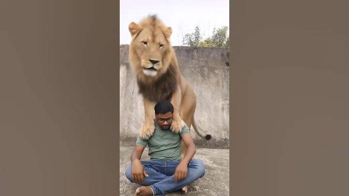 lion filters #memes #anime #cosplay #funny #issei #animation #ai #aianimation #joker