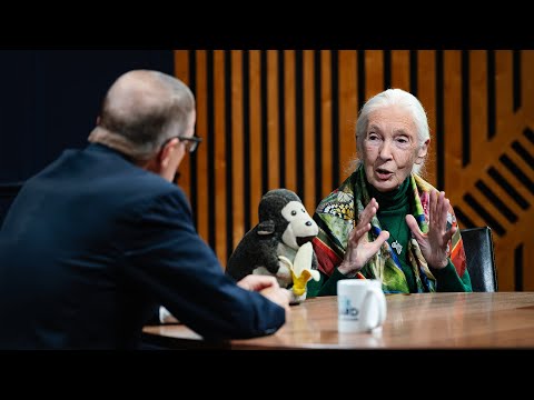 Jane Goodall in one of her final television interviews | Overheard with Evan Smith