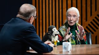 Celebrity Jane Goodall in one of her final television interviews | Overheard with Evan Smith Net Worth