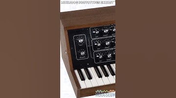 The Minimoog Prototypes Exhibit at the Moogseum - The Model B