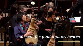 Gao Hong and the Minnesota Orchestra: Guangxi Impression, Concerto for Pipa and Orchestra (excerpt) screenshot 4