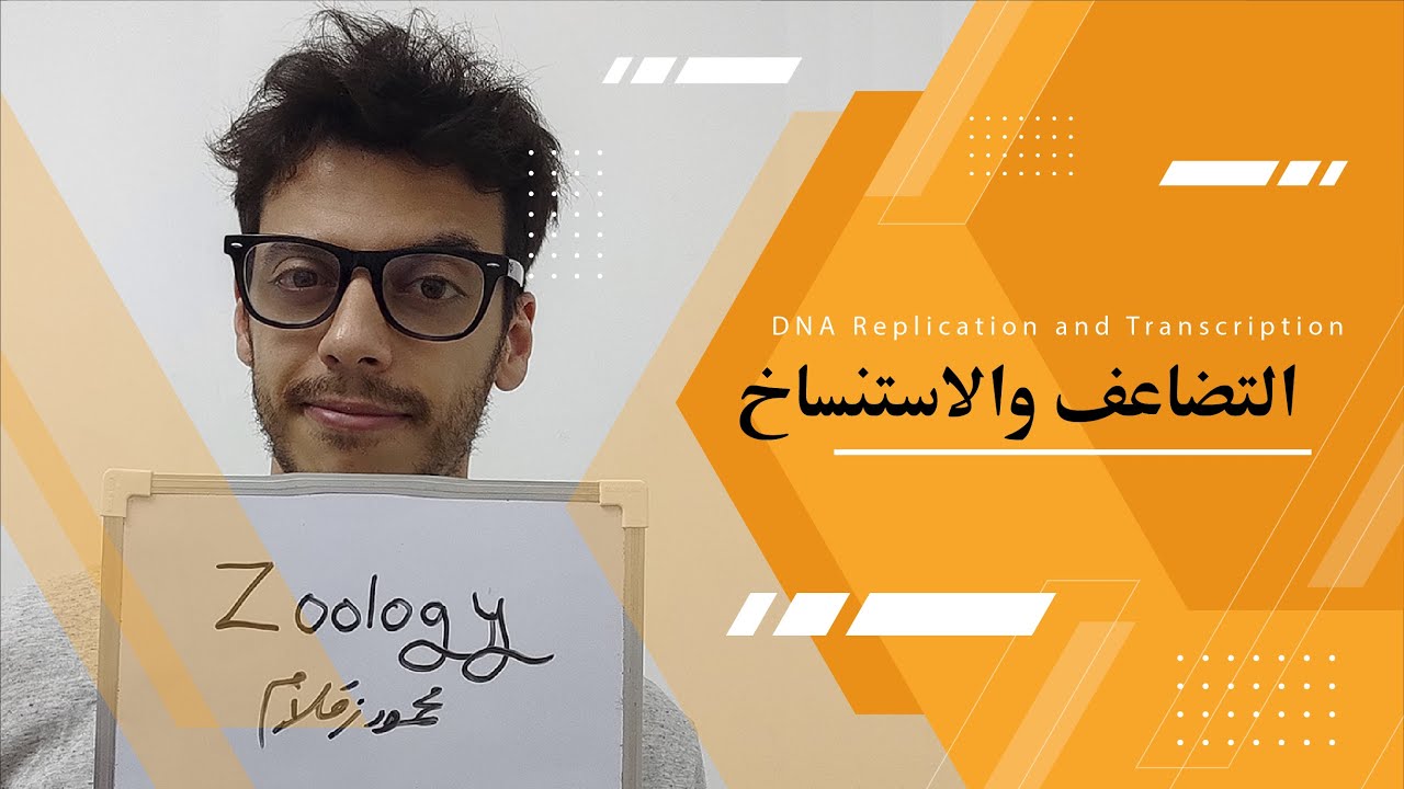 [Zoology] 12 DNA Replication and Transcription - التضاعف والاستنساخ