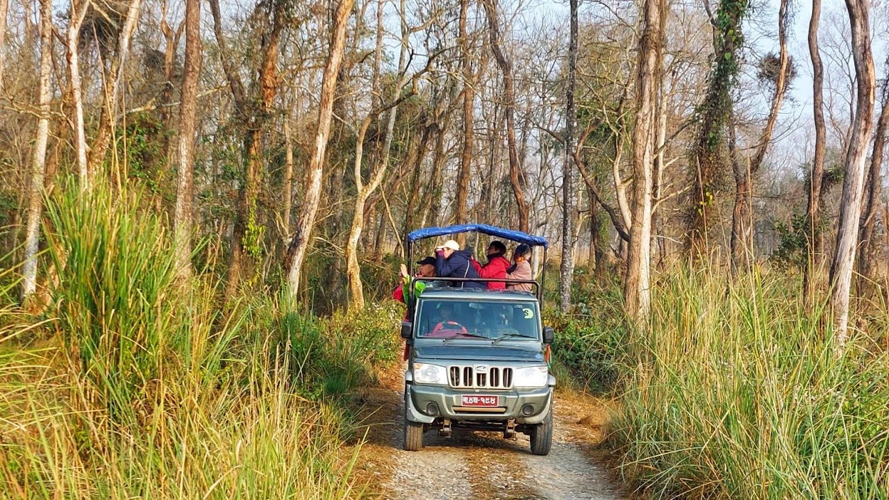 Elefanten-Aufzuchtstation und Jeep-Safari im Chitwan-Nationalpark/Nepal am 28.01.26