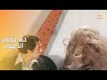ده أنا بخاف من الكلب يطلعلي أسد 