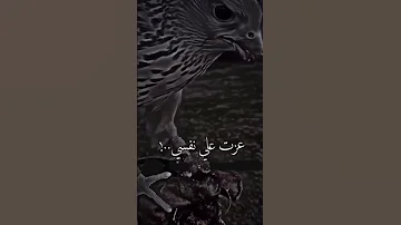أنا ما أنذل انا عزيز نفس 