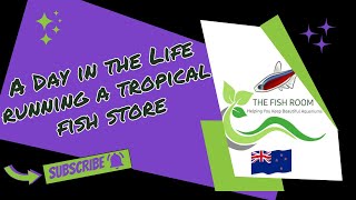 A day on the life of running a tropical fish store 120