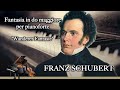 Schubert - Fantasia in do maggiore per pianoforte &quot;Wanderer Fantasie&quot;