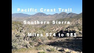 Pacific Crest Trail 2024, Southern Sierra, Miles 574 to 585, Wildflowers Blooming
