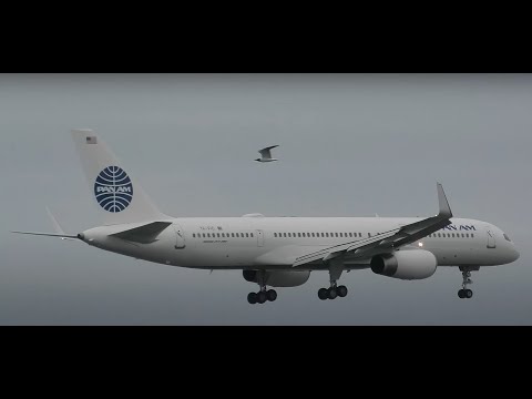 JFK Airport NYC *LIVE* + ATC - Tue 7-1-25 @10am Est. 1440p60