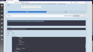 Argo Workflows Open API UI screenshot 2