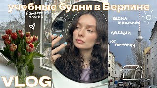 учебные будни в Берлине // весна в берлине, лекции, поездка на юг Германии, кафе и тд. // влог