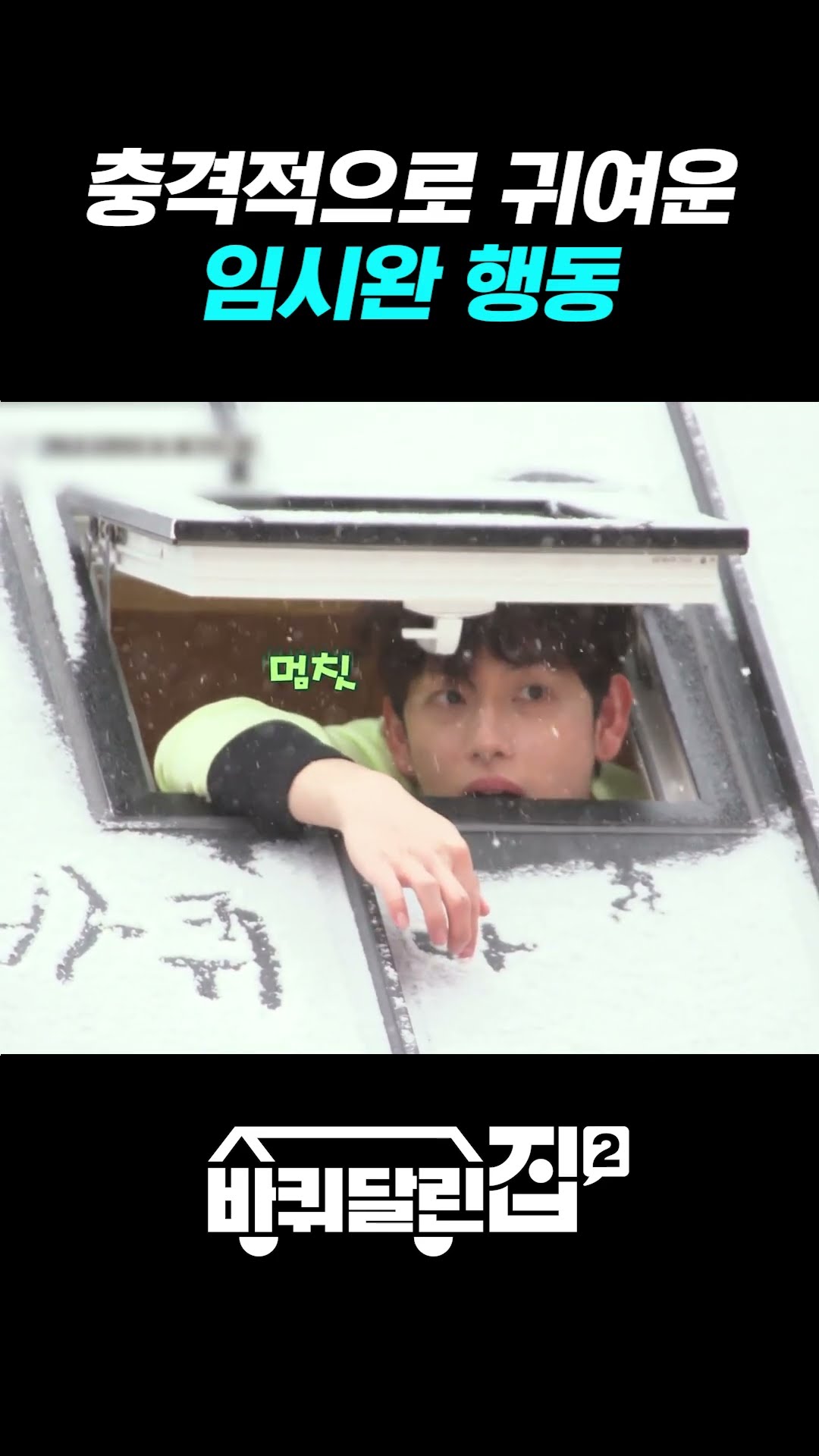 Very cute winter puppy Yim Si-wan #HouseOnWheels2