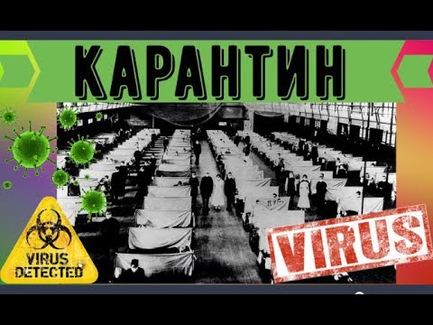 История карантинов
