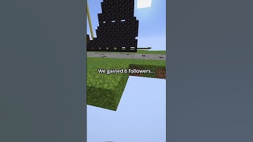 Day 185 Of Placing One Block For EVERY Follower!