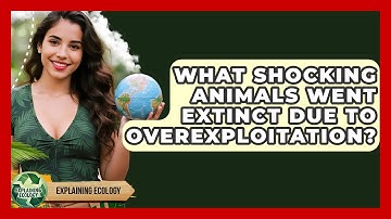 What Shocking Animals Went Extinct Due To Overexploitation? - Explaining Ecology