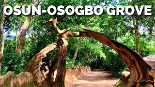 OSUN OSOGBO GROVE: History of Osun Osogbo Sacred Grove in Nigeria | Osun Osogbo Grove Tour