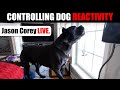 DOG REACTIVITY LIVE with Jason Corey