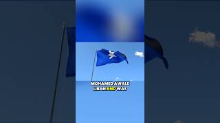 Did you know Somalia's flag holds a secret? 🤔 Discover its UN connection! 🇸🇴 #HistoryUnveiled