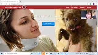 IE Iteration 2 usability testing
